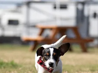 Reel Chill RV Resort