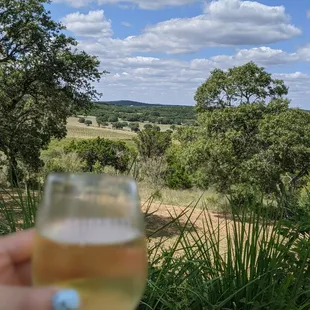 Patio view with a glass of wine