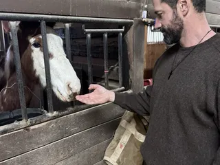 American Legacy Complex