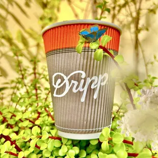 #YelpElite #Yelp #coffee