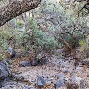 Dripping Springs Trail | Instagram: @telephonesmoothie