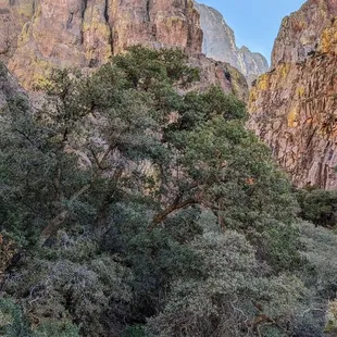 Dripping Springs Trail | Instagram: @telephonesmoothie