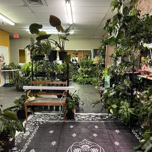 How gorgeous is that view?! So many plants, check it out!