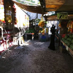 Wide arrange of fruits
