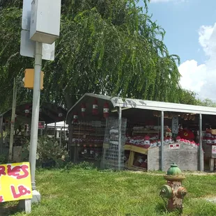 Fruit stand