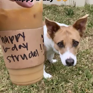 Caramel and cream War Machine with a birthday wish for my pup!