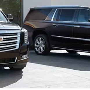 Twin Luxury SUV              Cadillac Escalade ESV