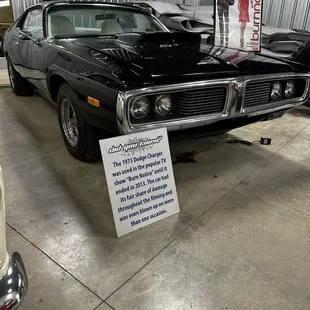 Beth Dutton wishes she could be like Fiona from Burn Notice!