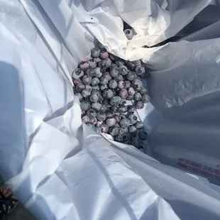 Working on picking them