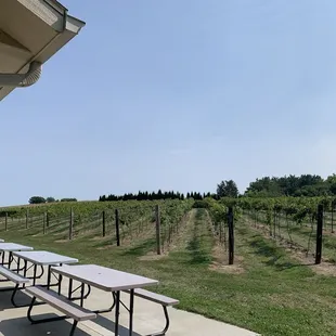 Outside on the patio