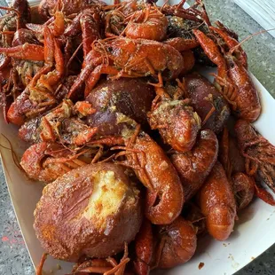 Crawfish
