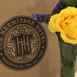 Celebrating 100 years of women's right to vote, suffragette history