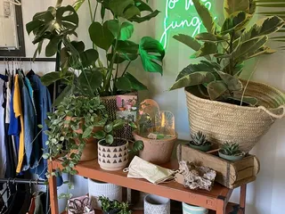 Rozet Nursery