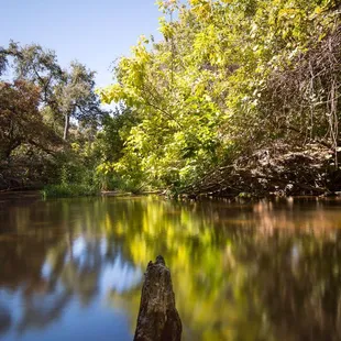 Excellent colors and reflections throughout the entire creek! Follow me on Instagram @estevan.tovar for more trail photographs.