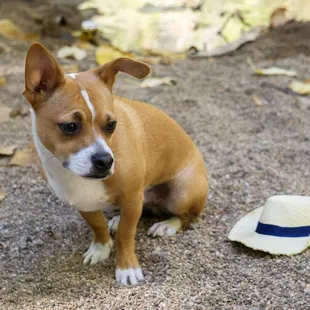He didn&apos;t want to wear the hat