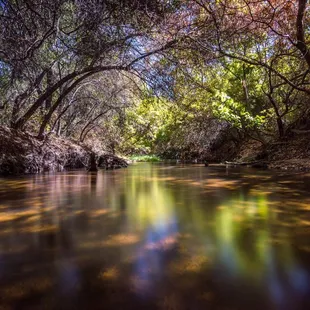 Beautiful reflections off the creek that runs through the park. Follow me on Instagram @estevan.tovar for more trail photographs.