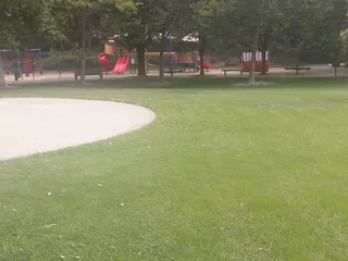 Misty Wood Park