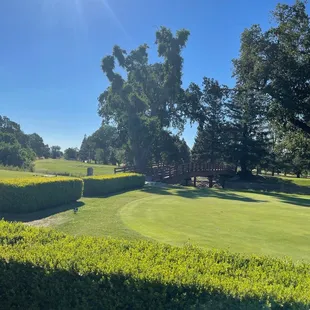 a view of a golf course