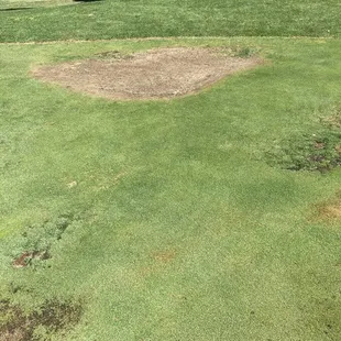 Greens