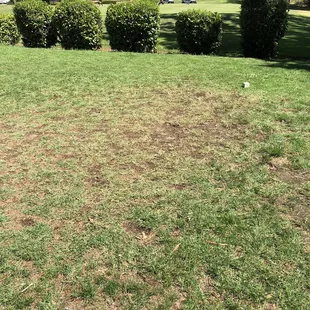 Tee box