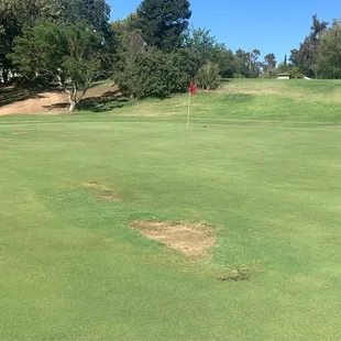 The green!!!