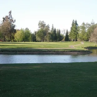 Par 5, #8, You have to clear the pond on your drive