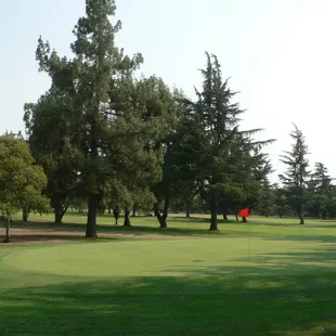 #9 Green