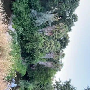 Hidden gems