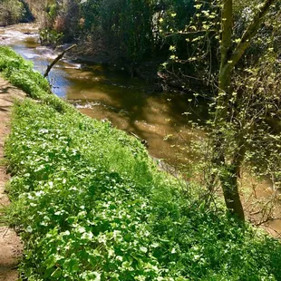 Bike path along the way