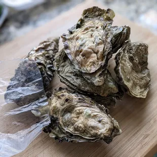 Dry Dock Fish Co
