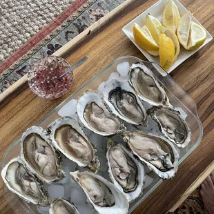 Huge fresh oysters