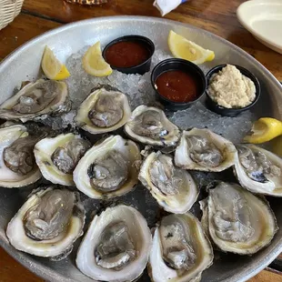 Oysters!
