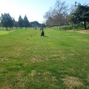 Driving Range at Dryden - all grass.