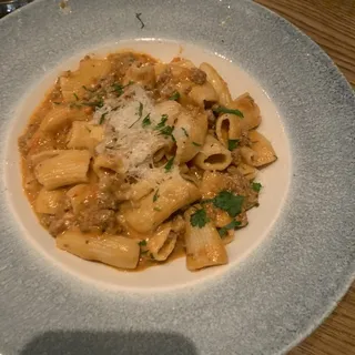 Bolognese