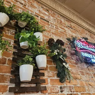 ramen and noodles, outside