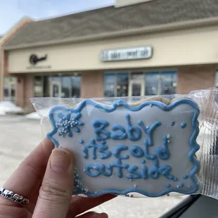 Iced shortbread cookie- what an adorable cookie!
