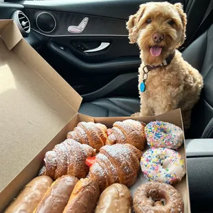Vegan donuts!!!!