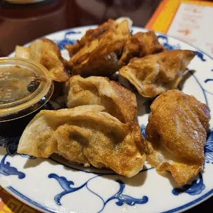 Fried Dumplings