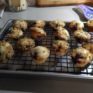 Mini blueberry muffins