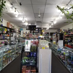 Warm welcoming interior