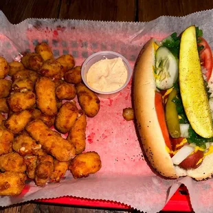 Chicago hot dog and cheese curds