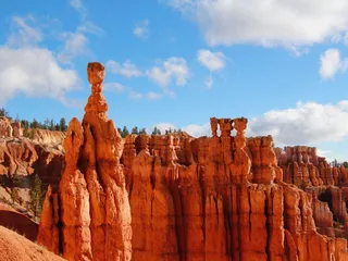 National Park Express