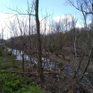 View from boardwalk.