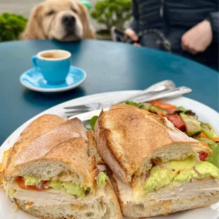 hot chicken chipotle sandwich + avocado and side of greens and double shot