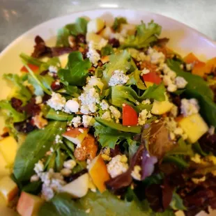 Apple walnut salad, served with your choice of dressing. Protein option available.
