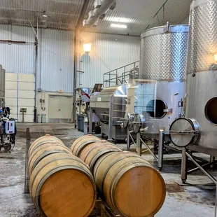 barrels in a winery