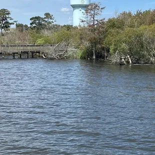 a view of a water tower