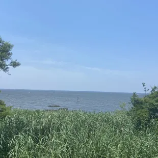 a view of the water