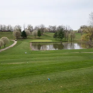 Water hole at Duck Hollow - yep, they have ducks