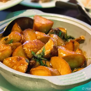 Sizzling Oyster Mushroom